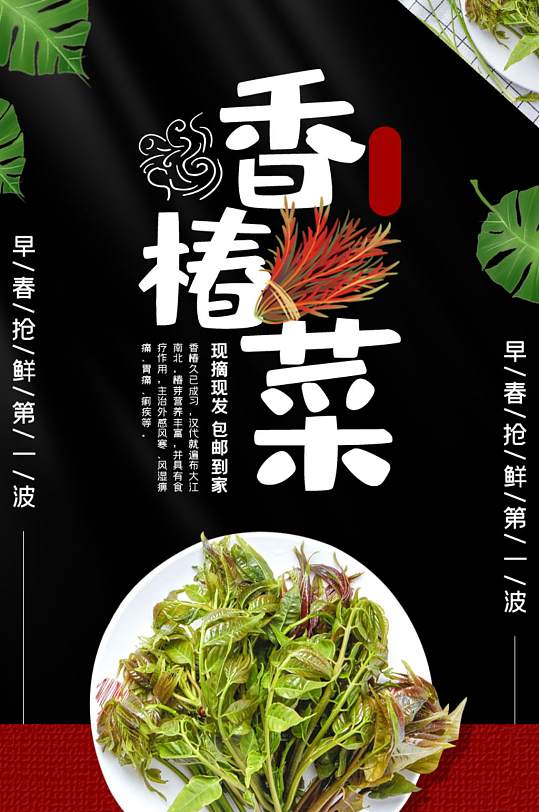 蔬菜生鲜香椿菜白菜莴笋西红柿详情页