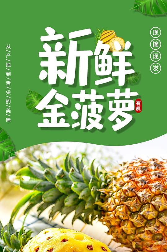 食品水果蔬菜菠萝蜜榴莲芒果西瓜详情页