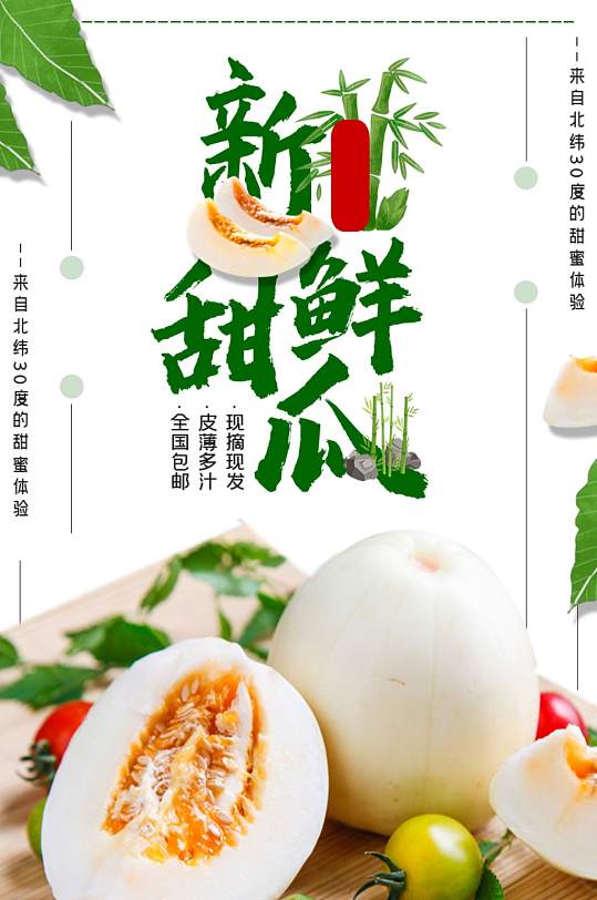 食品水果蔬菜甜瓜哈密瓜黄瓜西瓜详情页