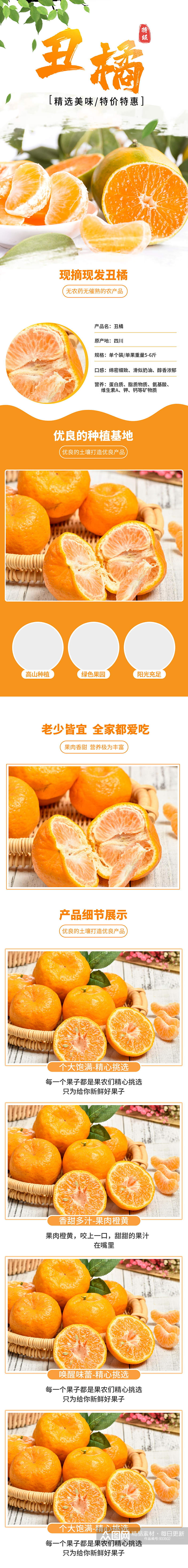 丑橘橘子橙子水果简约详情页素材