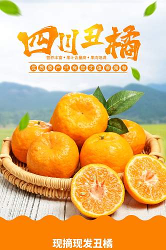 丑橘橘子橙子柑子详情页