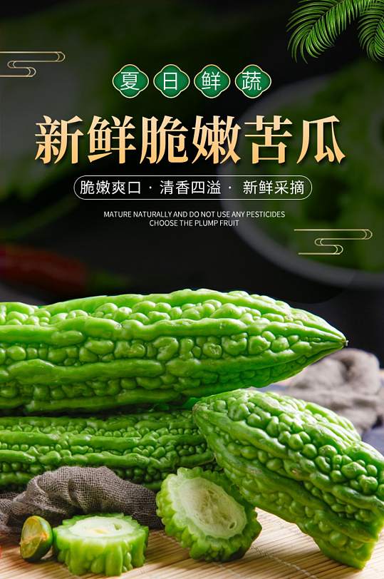 简约苦瓜瓜果蔬菜绿色蔬菜详情页-众图网