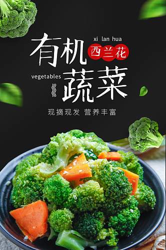 简约助农蔬菜生鲜果蔬青菜西兰花详情页