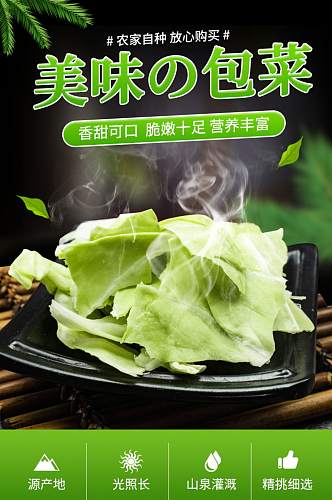 绿色简约风格包菜绿甘蓝蔬菜详情页