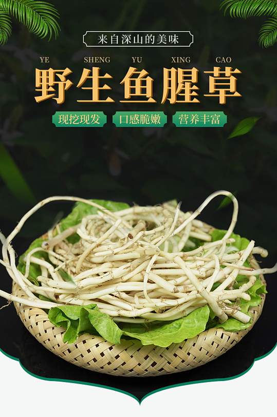 折耳根鱼腥草洋芋土豆芋头玉米详情