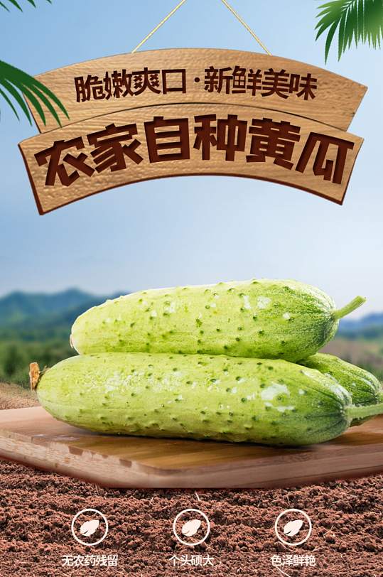电商淘宝蔬菜黄瓜详情页