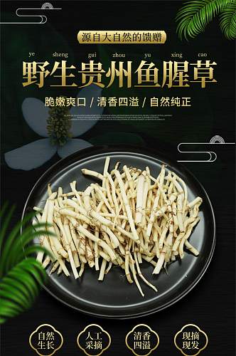 野生贵州鱼腥草折耳根蔬菜详情页