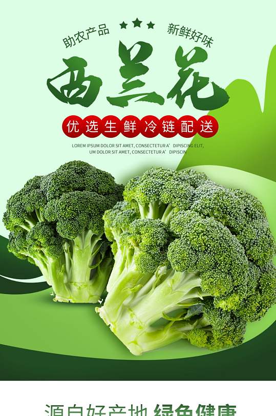 蔬菜生鲜商超市西兰花青菜果蔬瓜果详情页