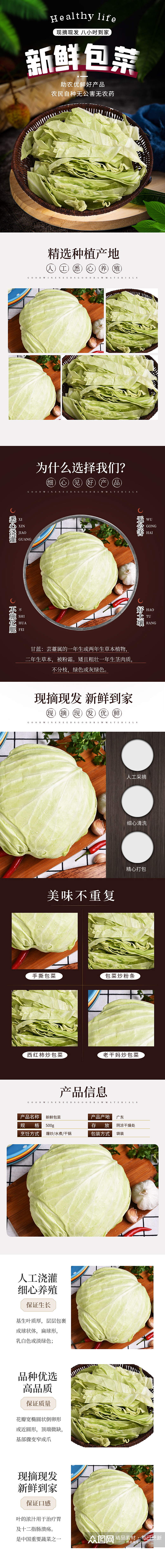 生鲜超市食品果蔬青菜包菜甘蓝详情页素材