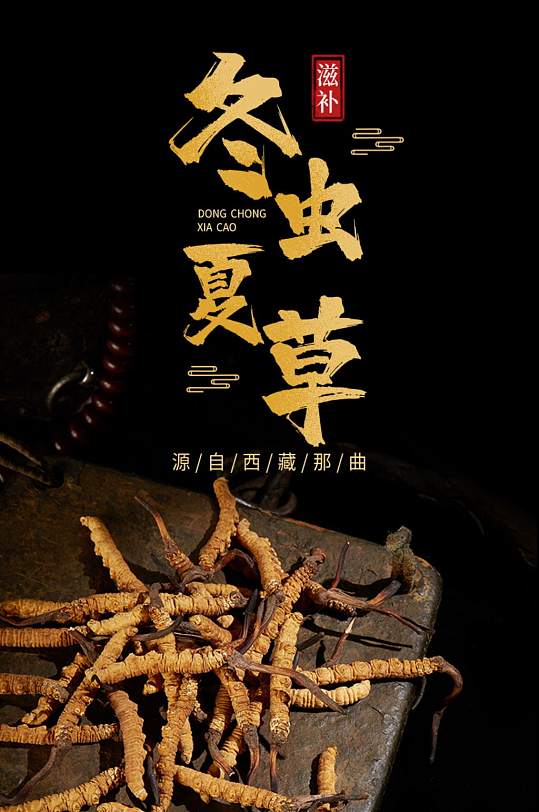 冬虫夏草虫草滋补食补详情页