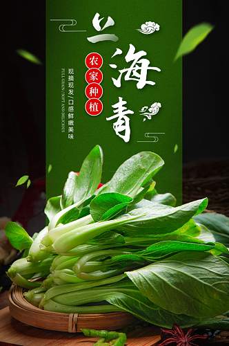 电商果蔬小油菜小白菜上海青蔬菜详情页