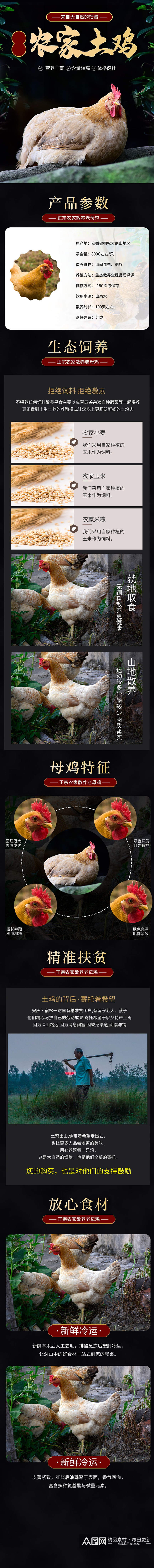 中国风风格农家土鸡母鸡详情页素材