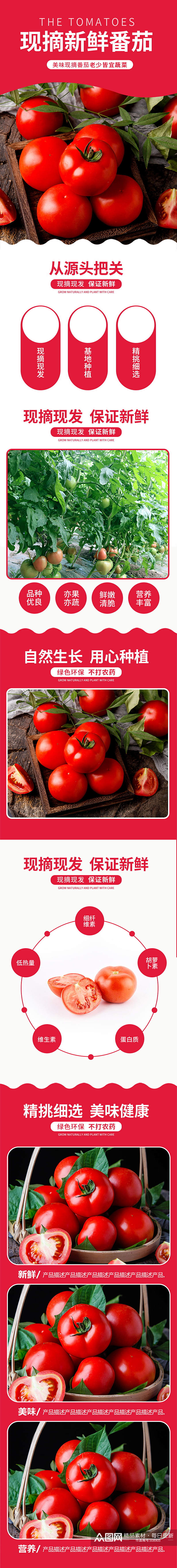 蔬菜水果西红柿番茄详情页素材