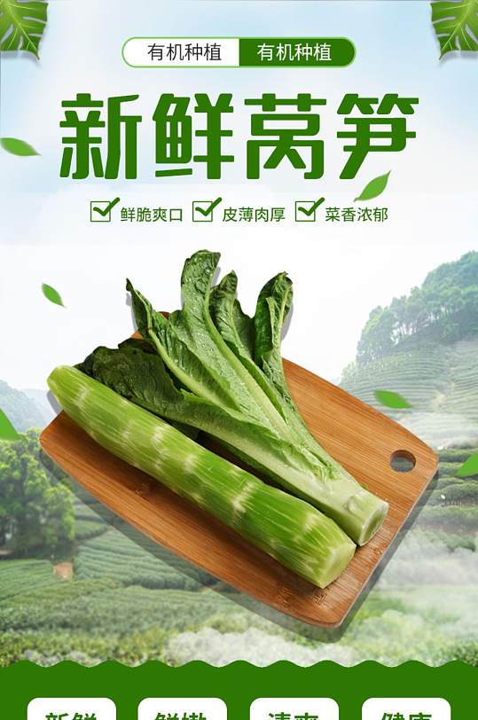 莴笋油麦菜番茄子青椒土豆蚕豆详情