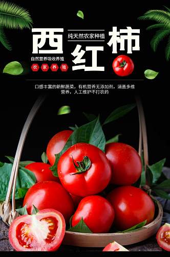 西红柿蔬菜夏季营养健康美食详情页