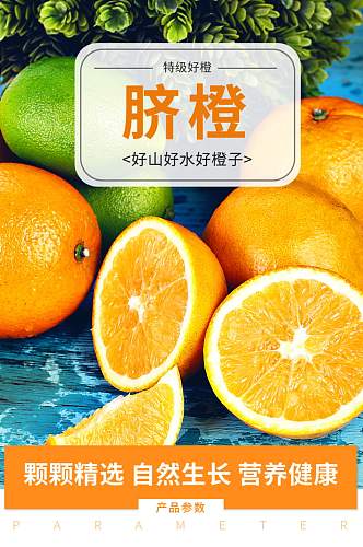 脐橙甜橙橘子水果详情页