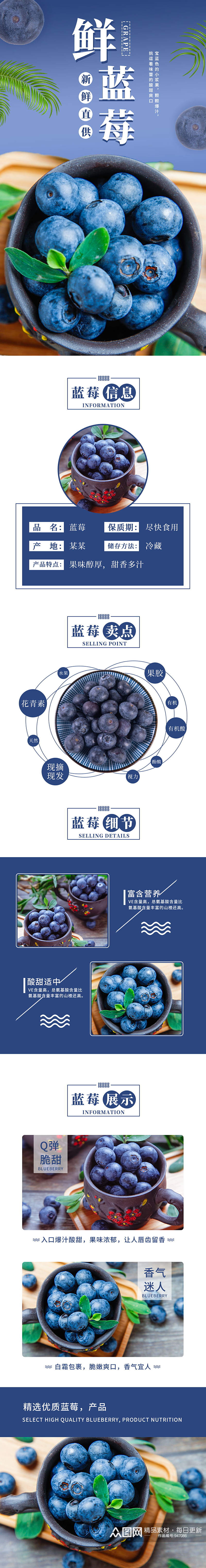 淘宝蓝色水果蓝莓电商淘宝详情页素材