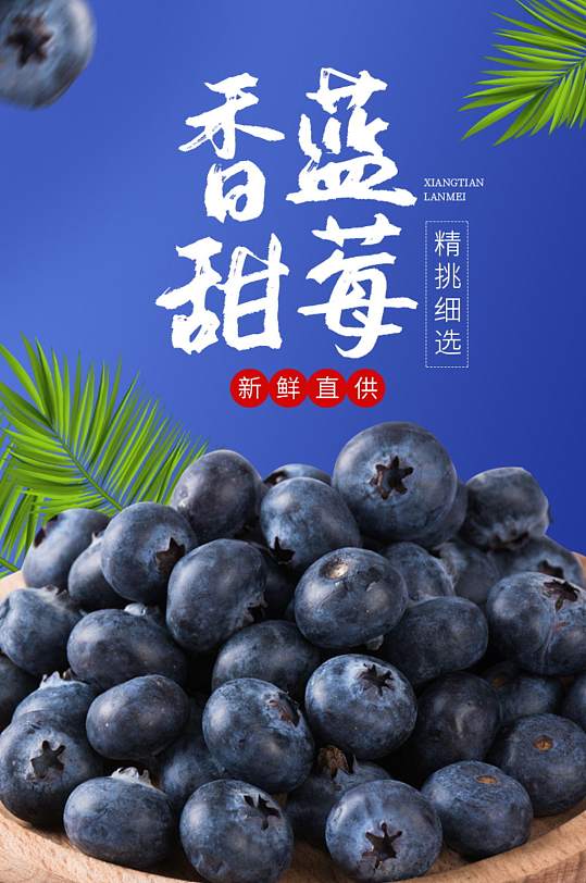 蓝色淘宝水果进口蓝莓水果详情页