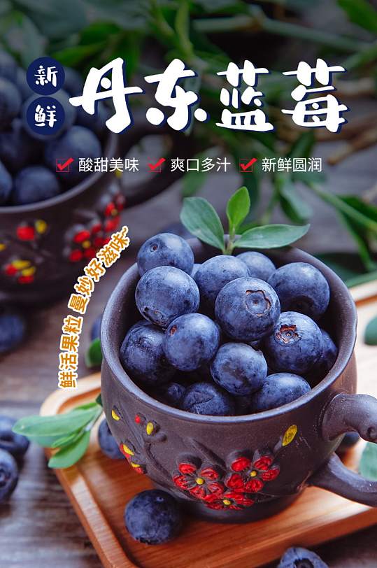 蓝莓水果新鲜生鲜美味酸甜可爱食品详情页