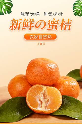 简约蜜桔蜜橘生鲜水果橙子丑柑详情页