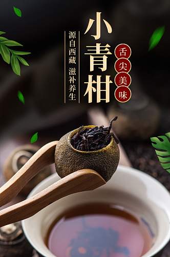 小青柑普洱茶熟茶特级生详情页