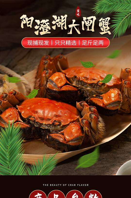 陽(yáng)澄湖大閘蟹螃蟹海鮮詳情頁(yè)
