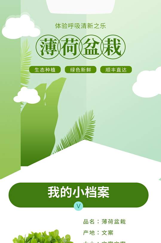 淘宝活动页面薄荷详情页