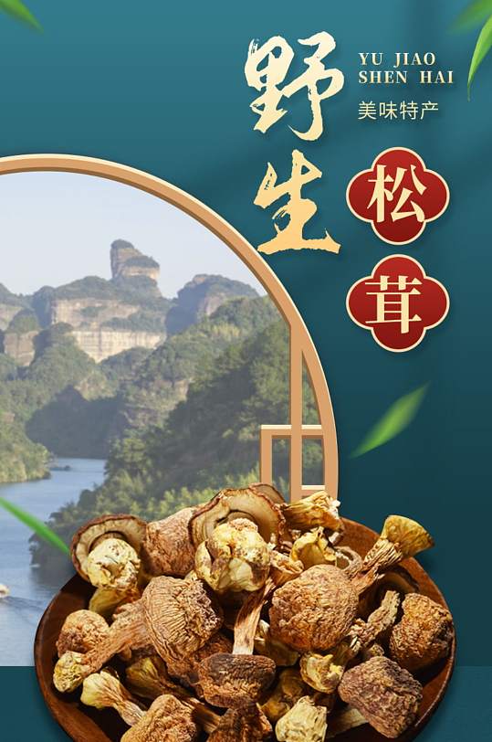 松茸菌类蘑菇香菇土特产食物详情页