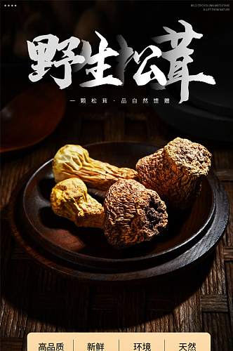 野生松茸蘑菇菌类食品茶饮详情页
