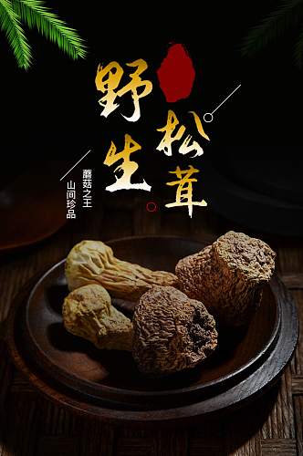 野生松茸蘑菇菌类食品茶饮详情页