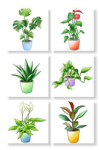 清新绿色植物盆栽元素插画
