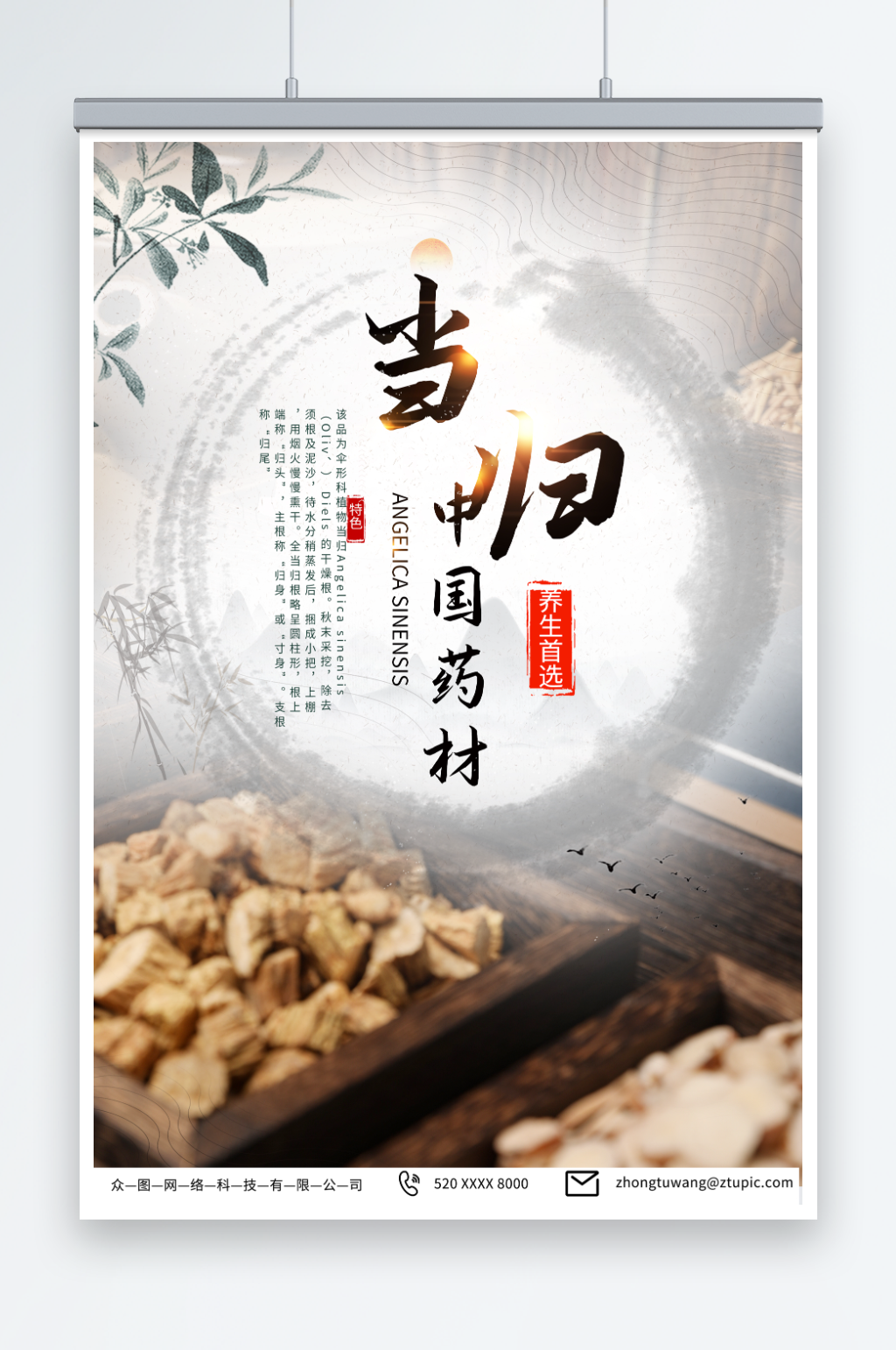 古风养生当归药材中药海报素材