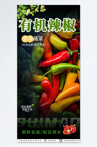 大气商超有机辣椒蔬菜促销海报