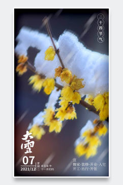 小清新摄影风中国风梅花山水大雪节气海报
