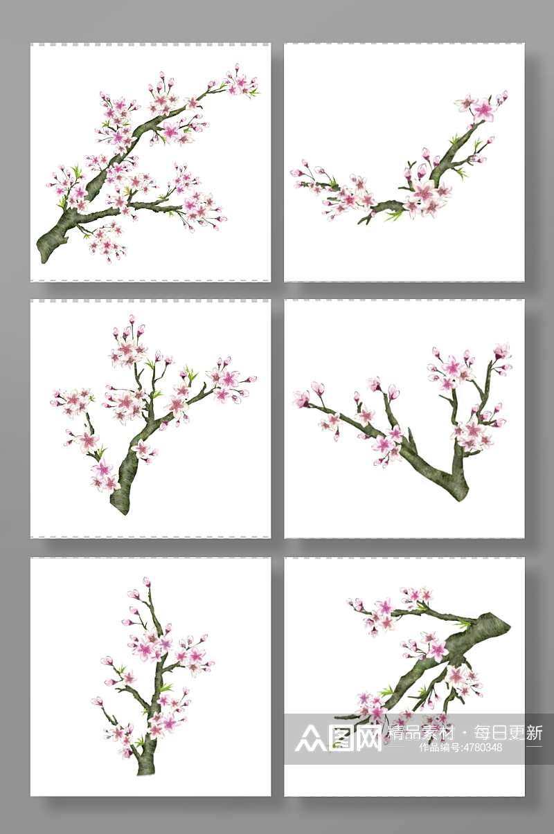 樱花桃花花卉分层花枝元素插画素材