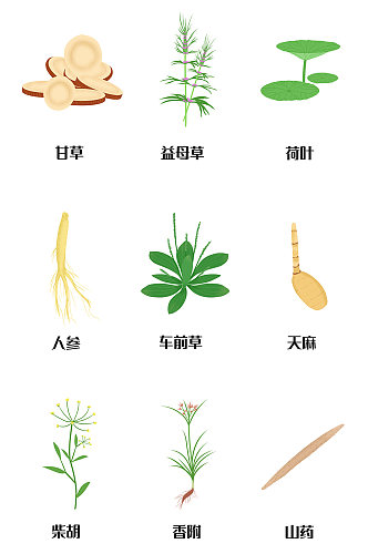 手绘扁平人参荷叶益母草中草药材元素插画