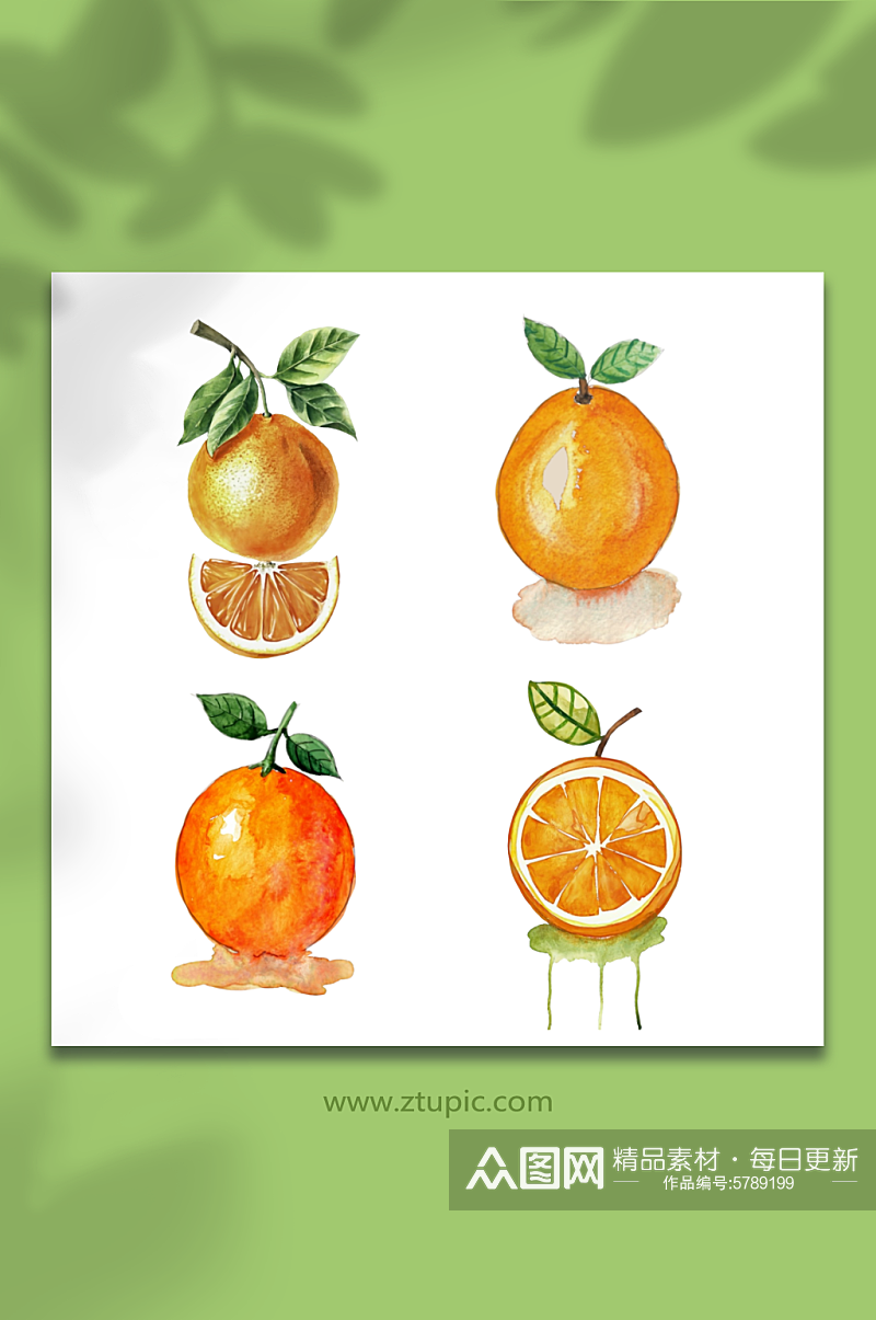 橙色橘子水彩绘画透明底设计元素素材