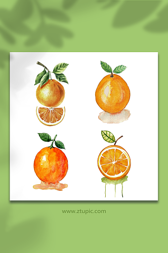 橙色橘子水彩绘画透明底设计元素