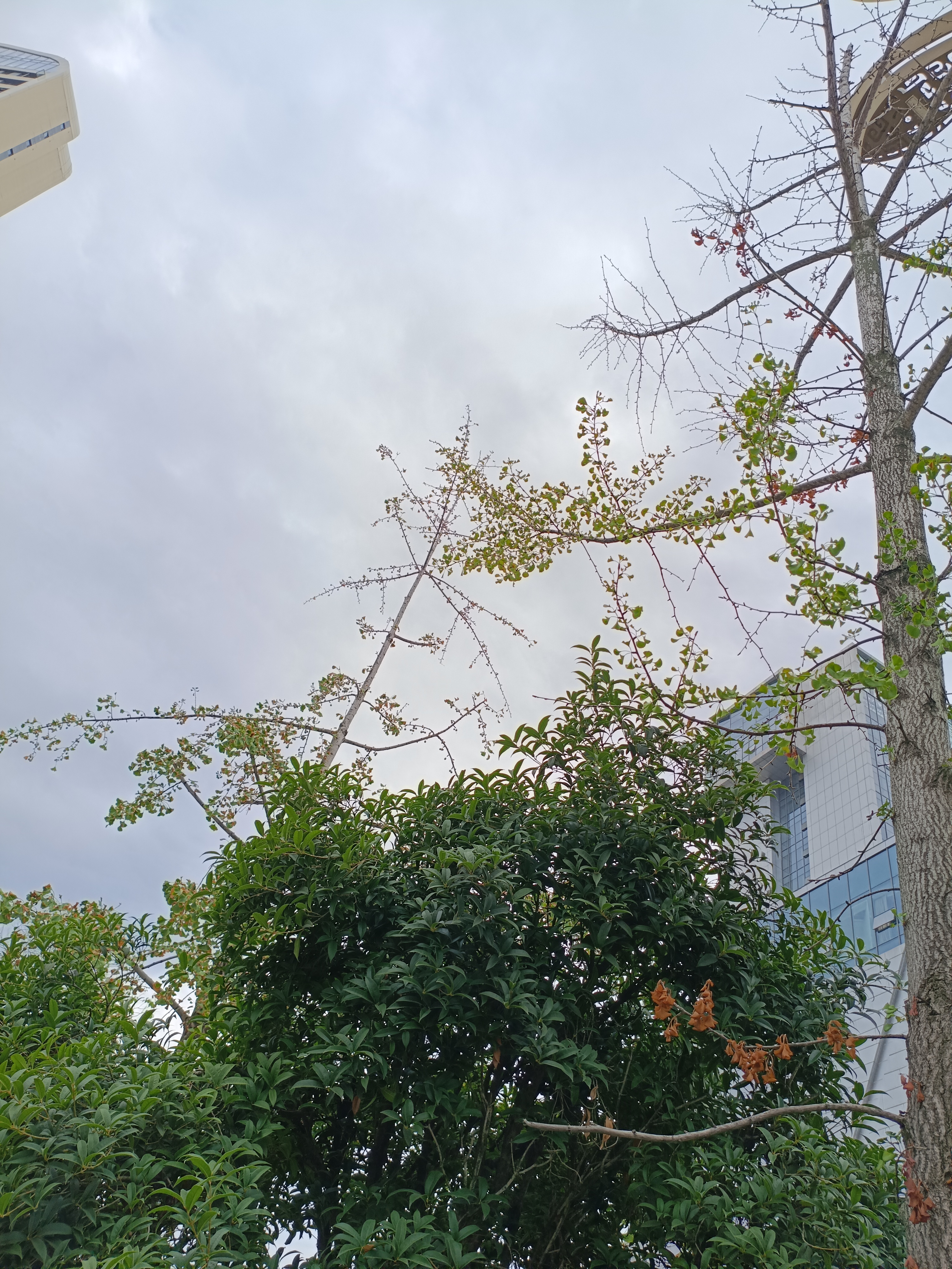 生态生长生机环境园林生物世界素材