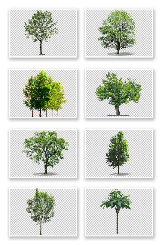 写实风格大树绿树树丛png免抠元素