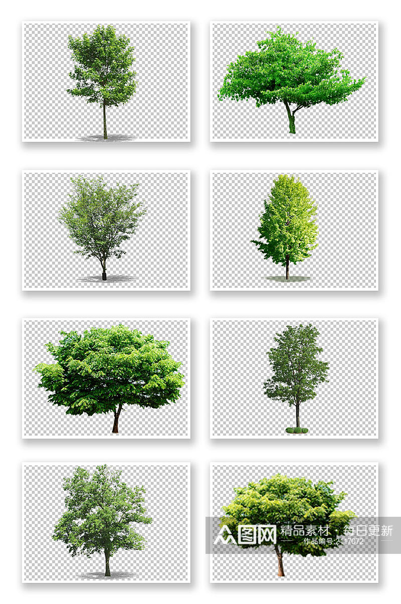 写实风格大树绿树树丛png免抠元素素材