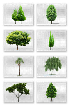 写实风格大树绿树树丛png免抠元素