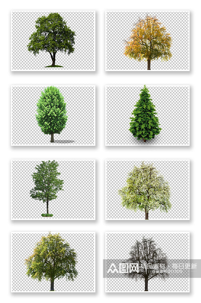 写实风格大树绿树树丛png免抠元素素材