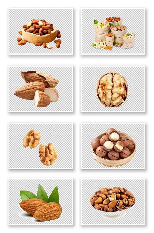 不同种类的坚果素材免扣PNG元素