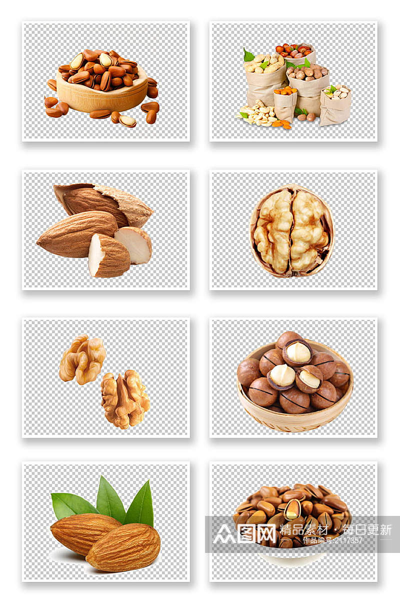 不同种类的坚果素材免扣PNG元素素材