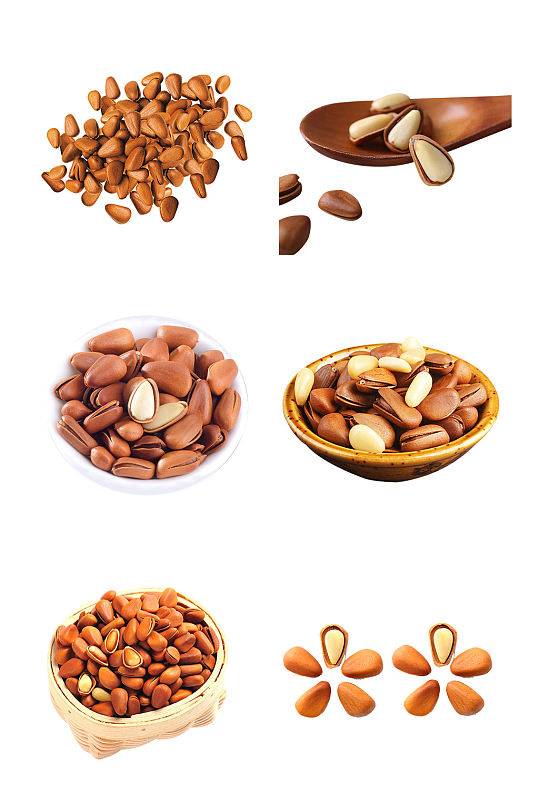 松子坚果零食素材免扣png元素
