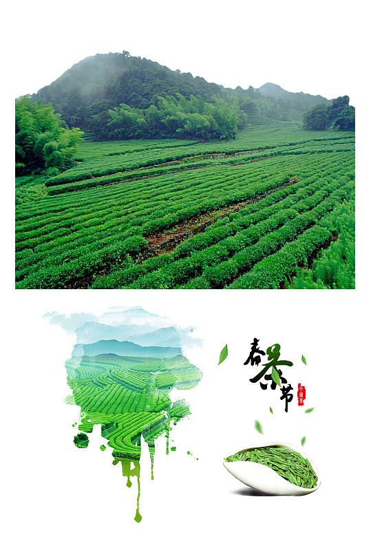创意清新绿色茶树茶田海报素材png元素