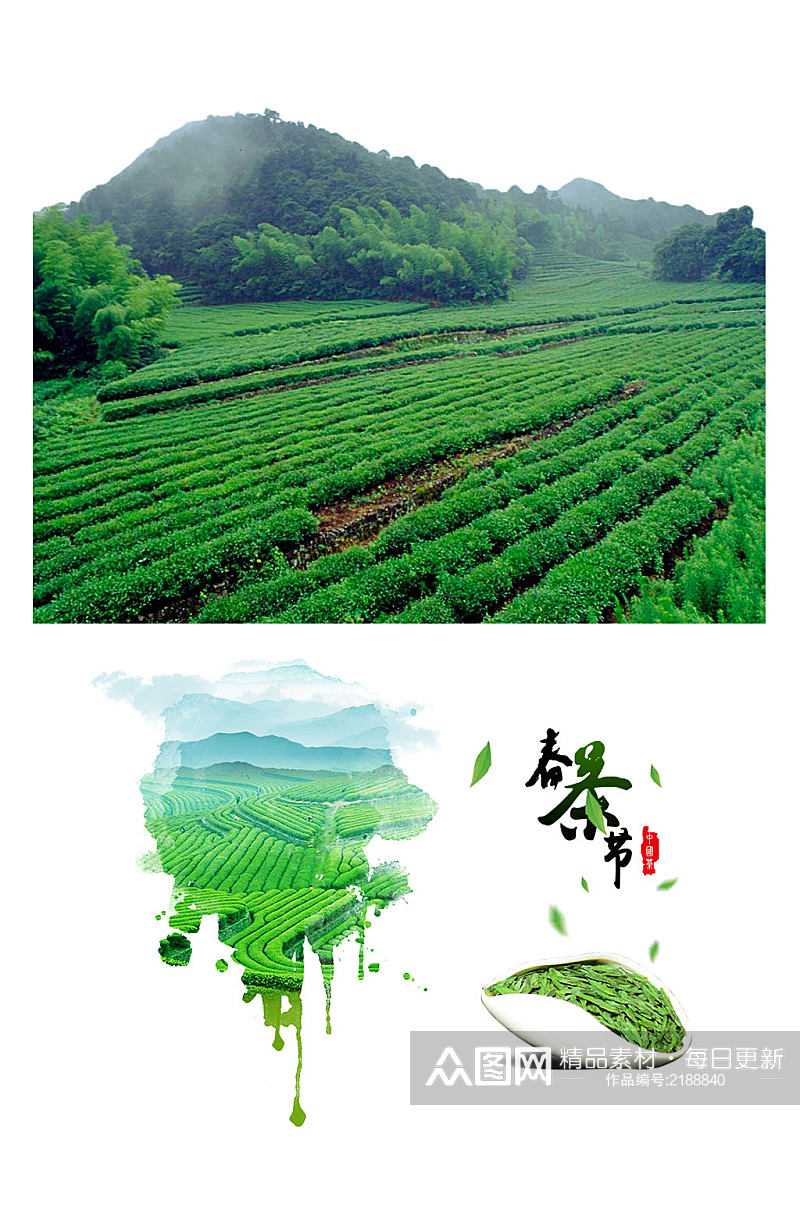 创意清新绿色茶树茶田海报素材png元素素材