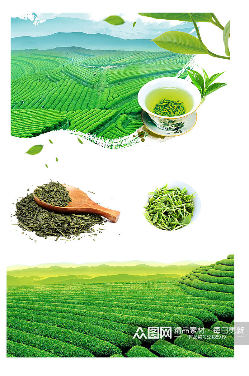 唯美绿色茶树茶田海报素材png元素素材