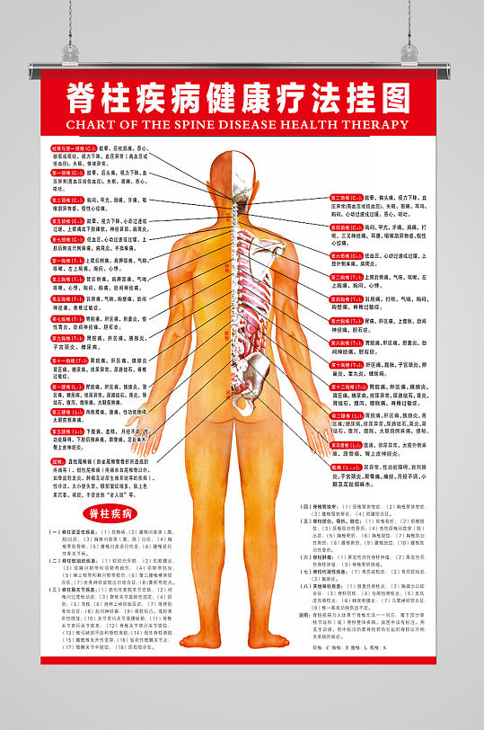 脊柱疾病健康挂图